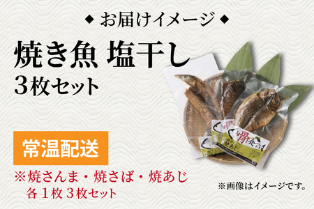 【塩干し】丸ごと骨まで食べられる焼き魚 計3枚（3枚セット×1種）［A-088001_01］ 