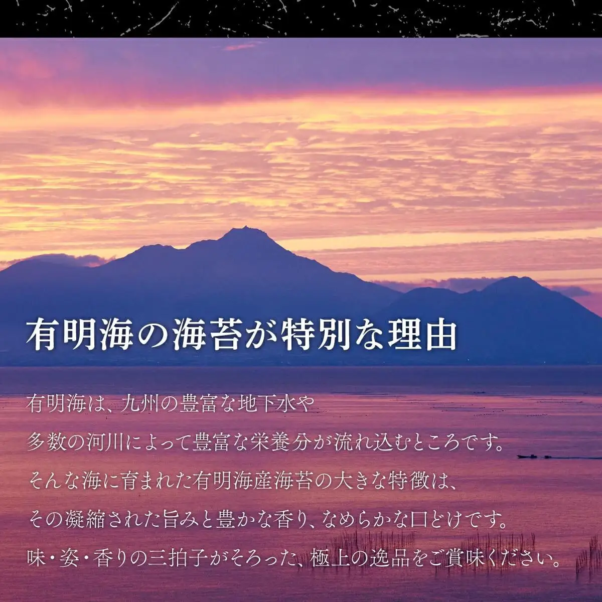 佐賀海苔 初摘み味付海苔20パック(定期便年3回)