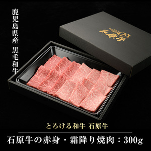 石原牛の赤身・霜降り焼肉セット(300g) 石原牛 焼肉用 霜降 ハーフ 国産 牛 ウシ 牛肉 焼肉 BBQ バーベキュー ビーフ 冷凍【石原PRO】ishihara-7091