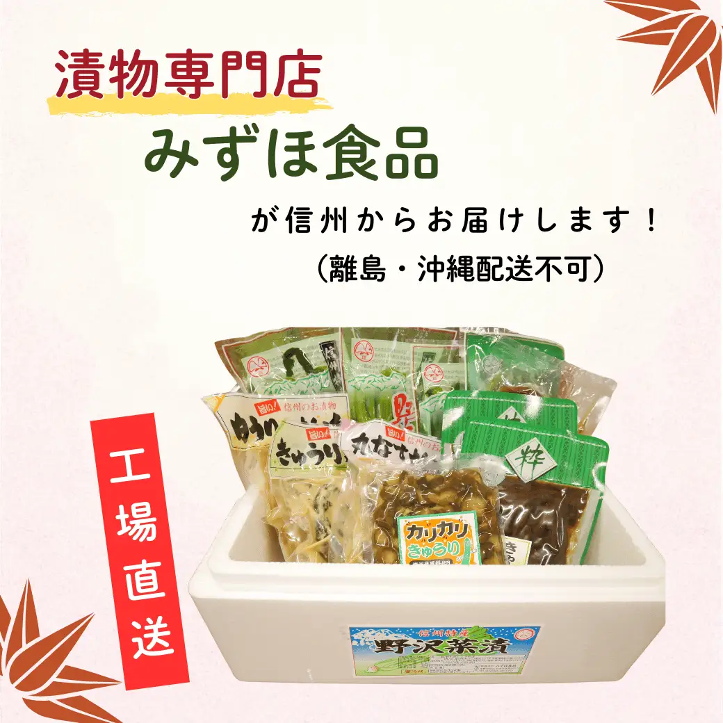 信州の漬物セット 【9種類】 野沢菜 漬物 Bl-002