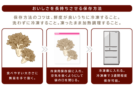 旨味と香りがあふれる奥出雲舞茸4株【舞茸 まいたけ きのこ 野菜 丸ごと 4株 約2kg 国産 無農薬 安全 安心 食物繊維 健康 産地直送 プレゼント ギフト 贈り物】