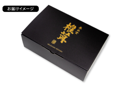 「奥出雲椎茸」贈答用特選 500g【椎茸 生しいたけ 肉厚 収穫直後 新鮮 菌床栽培 国産 旨味たっぷり きのこ キノコ 野菜 料理 食品 贈答用 特選 プレゼント 贈り物 ギフト】