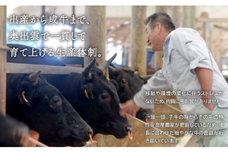 【毎月15日配送】【冷蔵配送】全国大会W受賞！奥出雲和牛いろいろ定期便5回【プレミアム】【牛肉 定期便 5回 サーロインステーキ 肩ロースすき焼き肉 肩ロース焼肉 赤身すき焼き肉 しゃぶしゃぶ肉 ステーキ すき焼き 焼肉 しゃぶしゃぶ 人気 冷蔵 国産 奥出雲和牛 黒毛和牛 ブランド牛 お祝い プレゼント ギフト】