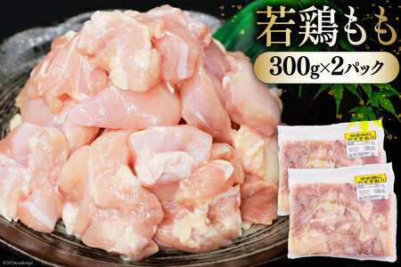肉 セット 宮崎県産牛 豚 鶏 バーべキューセット 計1.8kg [甲斐精肉店 宮崎県 美郷町 31as0120]