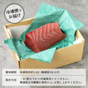 a10-430　焼津港水揚げ ・南まぐろ