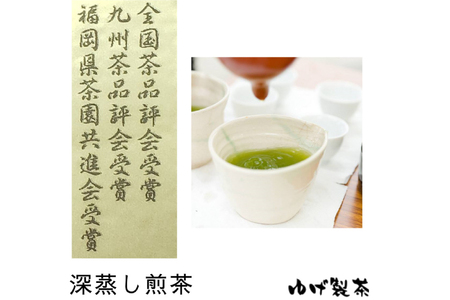 お茶 八女茶 極上煎茶・青（深蒸し煎茶）264g(88×3袋) [Esprit 福岡県 筑紫野市 21761503]