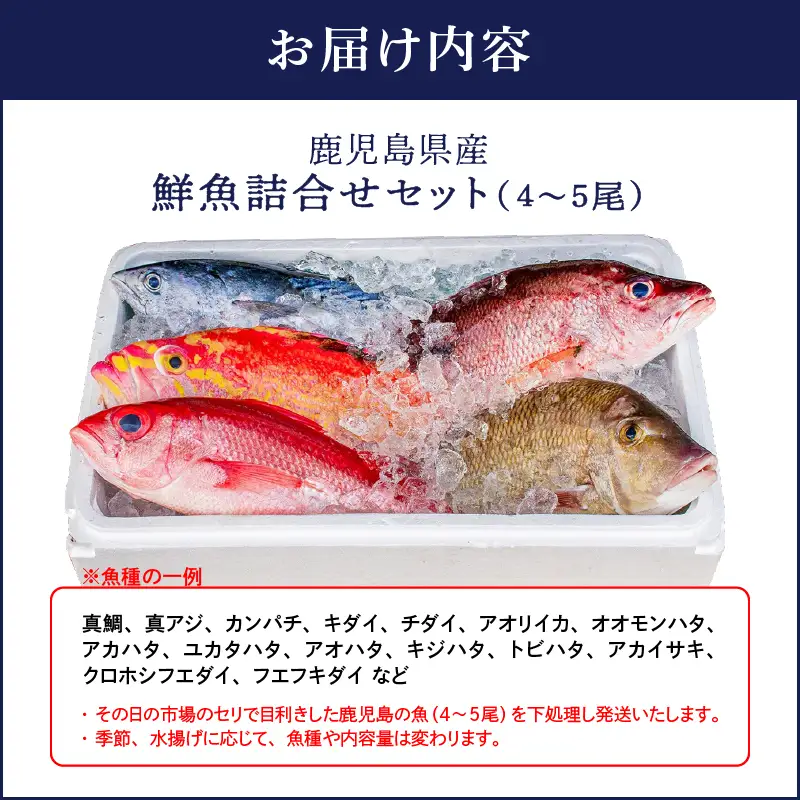 2531 鹿児島県産 鮮魚 詰合せ セット（ 4～5尾 ） KN025-004-02 魚