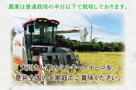 【精米】 ミルキークイーン 5kg 令和7年産 白米