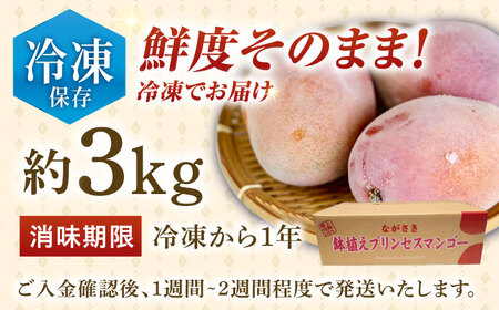 【冷凍】プリンセスマンゴー 約3kg[QAT014] マンゴー