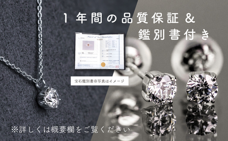 ダイヤモンド ネックレス + ピアス 2点セット （RP-423-063） 鑑別書 保証書 ケース 付 ／ ジュエリー アクセサリー 宝石 ギフト プレゼント 贈り物 記念日 お祝い 誕生日 人気 高級 山梨県 西桂町【n0521_liz_C】