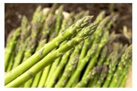 10回定期便 【剣淵町産】 けんぶち定期便 [けんぶちVIVAマルシェ 北海道 剣淵町 14656275]