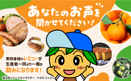 本べっ甲 兜 （額入） 長与町/ケイ工芸 かぶと カブト[EAE002]  べっ甲 べっ甲細工 伝統工芸 工芸品 端午の節句 初節句 節句 コンパクト 飾り