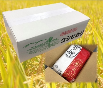新潟県産 「新之助」 5kg 出雲崎 令和7年産 | 新之助 出雲崎町
