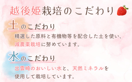 【越後姫 いちご】オリジナルジェラート（90ml 5個）コンフィチュール いちごジャム （100g 1個） | ジャム 新潟県 出雲崎町
