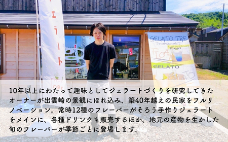 ジェラート 手作りジェラート詰め合わせ 12種類（12個入） | ジェラート 新潟県 出雲崎町