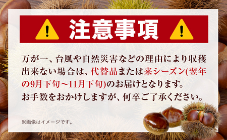 GI認証登録 山江村の やまえ栗 生栗 2kg 品種指定なし 筑波 美玖里 など旬の品種 やまえ栗ブランド部会 有限会社やまえ堂《9月下旬-10月中旬頃出荷》熊本県 球磨郡 山江村 栗 くり フルーツ 熊本県産 果物 早期 予約 
