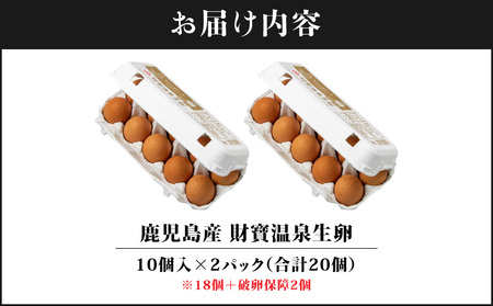 2525 温泉水 と こだわりのエサ で育った 鶏 が産んだ 美味しい 卵 20個（ 10個入 × 2パック ）※18個+破卵保障2個 KN021-035