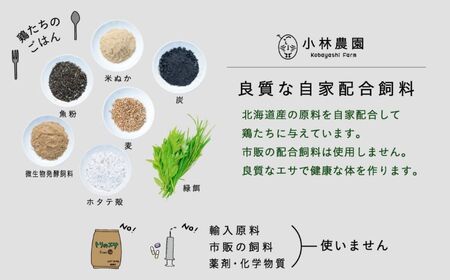 親鶏のスパイスカレー 5個セット（辛口）【テンアール株式会社】 カレー スパイスカレー 辛口 鶏 鶏肉 平飼い 冷凍配送 北海道 [AXAN009]