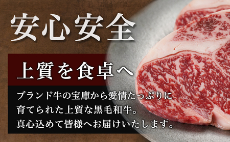【黒毛和牛】ロースステーキ150g×2枚_LG8-I901_(都城市) 国産黒毛和牛 ロースステーキ 150g×2枚 ロース肉 贈答用 ステーキ ステーキ丼