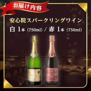 安心院スパークリングワイン白・赤(合計1.5L・750ml×2本)酒 お酒 ワイン 白ワイン 赤ワイン スパークリングワイン ぶどう 葡萄 飲み比べ セット【107302700】【時枝酒店】
