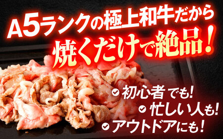 長崎和牛A5ランク牛ロース小間切れ（400g入）[OCH003]