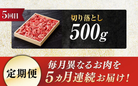 【5回定期便】飛騨牛 食べつくし 厳選セレクト定期便 サーロイン ロース モモ 切り落とし ステーキ すきやき しゃぶしゃぶ 国産 和牛 岐阜県 岐阜市/だるまミート[ANBE001]