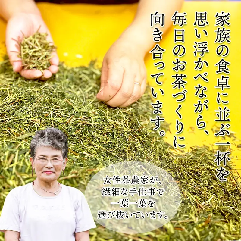 舞鶴茶 ティーバッグ みたらしちゃんギフト ほうじ茶 6パック（18杯分）