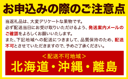 ☆2026年出荷☆ 秋王 約1.7kg《11月上旬-11月末頃出荷》福岡県 鞍手郡 小竹町 柿 かき カキ 種なし 種無し 福岡県産 果物 くだもの フルーツ 【配送不可地域あり】