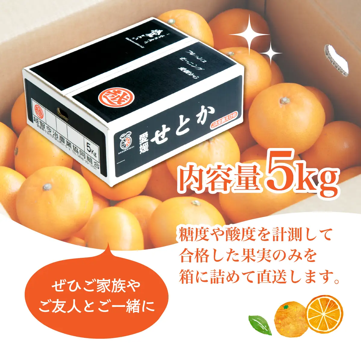 【先行受付】せとか 5kg レギュラー箱 みかん 柑橘