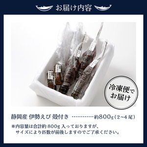 a40-075　伊勢海老 三昧セットA 刺身用＋焼物用