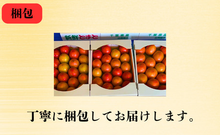 【 先行予約 】 とまと りんか 4kg ﾄﾏﾄ 野菜 リコピン トマトジュース ジュース ケチャップ トマトスープ サラダ パスタ甘い  贈答 ギフト ジューシー 人気 定番 美味しい 厳選 新鮮 調味料 美容 健康 緑黄色野菜 11000 11000円 千葉県 銚子市