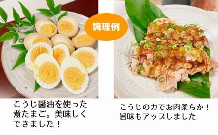 カニ印　イキイキ生こうじ（1㎏）