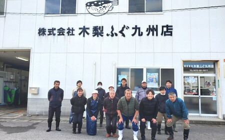【とらふぐ卸会社直送】ヒレ酒用 とらふぐの干しヒレ（30枚前後）