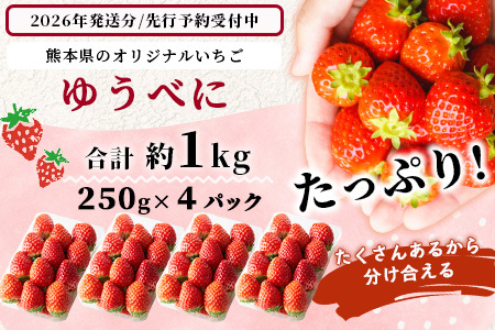 熊本県産 いちご ゆうべに 1kg (250g×4パック) 【2026年出荷分】イチゴ 果物 フルーツ 熊本県 多良木町 農園直送 107-0501