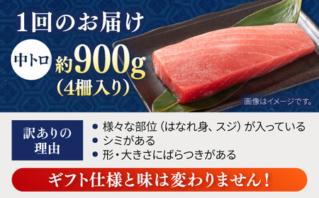 【全6回定期便】【訳あり】天然 まぐろ 中トロ メバチ 計約900g (4柵入り) マグロ 定期 鮪 まぐろ 中とろ 刺身  定期便【横須賀商工会議所 おもてなしギフト事務局（本まぐろ直売所 横須賀本店）】 [AKAK051]
