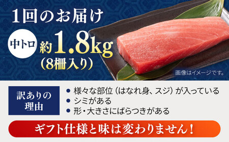 【全6回定期便】【訳あり】天然 まぐろ 中トロ メバチ 計約1.8kg (8柵入り) まぐろまぐろまぐろまぐろまぐろまぐろまぐろ [AKAK054]