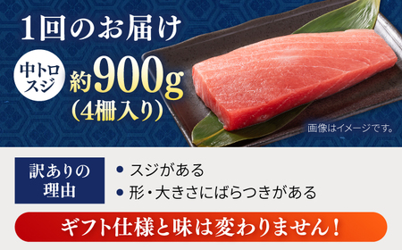 【全3回定期便】【訳あり】天然 本まぐろ 中トロ 計約900g (4柵入り) 鮪 マグロ 魚 刺身 横須賀【横須賀商工会議所 おもてなしギフト事務局（本まぐろ直売所 横須賀本店）】 [AKAK068]