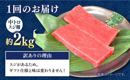 【全12回定期便】【訳あり】天然 本まぐろ 中トロ 計約1.8kg (8柵入り) 鮪 マグロ 魚 刺身 横須賀【横須賀商工会議所 おもてなしギフト事務局（本まぐろ直売所 横須賀本店）】 [AKAK073]