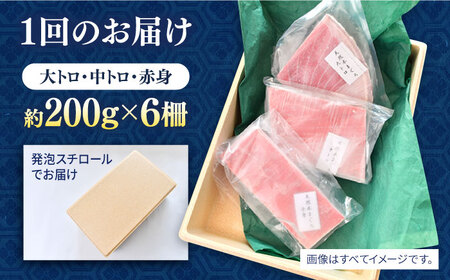【全3回定期便】天然 まぐろ 大トロ・中トロ・赤身（約200ｇ×6柵）約1200ｇ 鮪 マグロ 魚 刺身 横須賀【横須賀商工会議所 おもてなしギフト事務局（本まぐろ直売所 横須賀本店）】 [AKAK083]