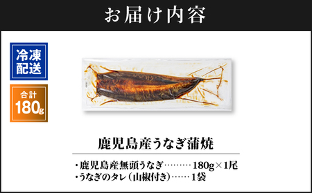 【 土用の丑の日特集 】 2521 鹿児島産うなぎ 合計180g（180g×1尾） KN021-015-01 鰻 魚 惣菜 総菜