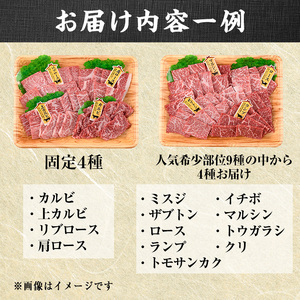 ＜訳あり＞おおいた和牛 希少部位 焼肉 セット (8種・合計800g) 食べ比べ 焼肉セット やきにく 焼き肉 国産 牛肉 肉 和牛 カルビ ロース ミスジ ザブトン ランプ トモサンカク イチボ マルシン トウガラシ クリ 【FW019】【ミートクレスト】