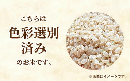 令和7年産 幸手市産 コシヒカリ 玄米30kg 色彩選別済 Brown Rice - お米 米 こしひかり 玄米 30kg 埼玉県 幸手市