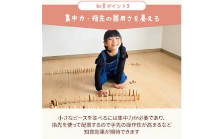 森のドミノさん【専用収納木箱付きドミノピース】