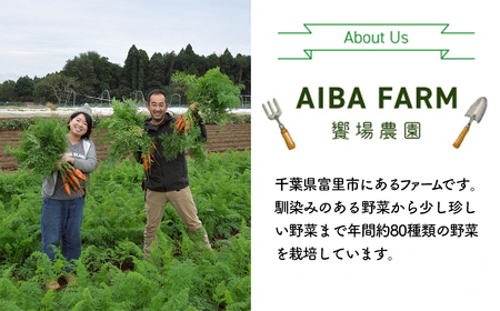 【12月～2月発送】【栽培期間中農薬不使用】訳あり人参１０㎏ AIBA FARM Ｂ品 / 野菜 やさい にんじん 人参 ニンジン 名産 特産 甘い 美味しい 訳あり 不揃い B級 健康 ヘルシー フードロス AIBA FARM アイバファーム 千葉県 富里市 TML007