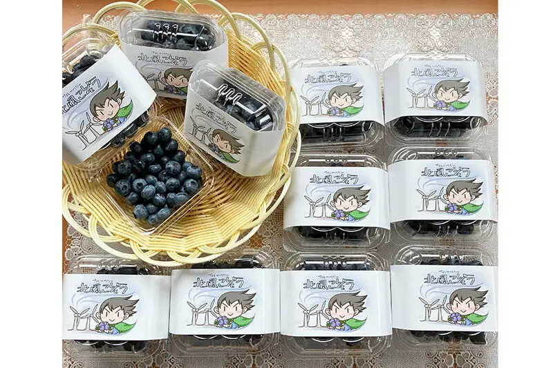 【2026年収穫先行受付】生ブルーベリー(中粒)「北風こぞう」 約100g×12パック