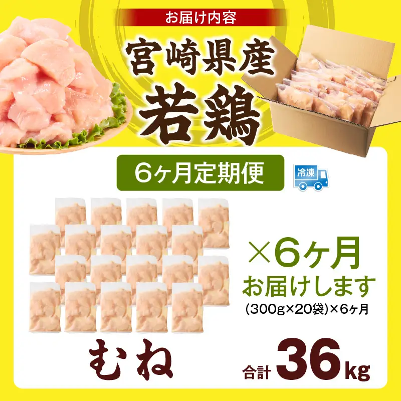 宮崎県産 若鶏切身 むね肉 6kg（300g×20袋）【6か月定期便】_b0800_it_x2