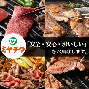 【定期便・全6回(連続)】宮崎牛焼肉・すき焼き食べ比べ定期便 牛肉  冷凍 国産  【R-98】【ミヤチク】