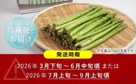 朝採れ新鮮アスパラ 1.5kg（Mサイズ） (2026年3月下旬~6月中旬または2026年7月上旬~9月上旬頃発送)  野菜 秀品 北海道産 バーベキュー BBQ キャンプ 旬野菜 アスパラガス 栄養満点 冷蔵発送 F21W-454