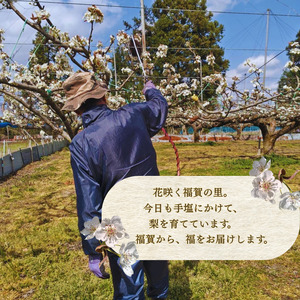 【先行予約】福賀の二十世紀梨 約3kg（7玉） 阿武町産 高糖度＆安心栽培 昼夜の寒暖差が生むシャキシャキ食感 数量限定 なし 梨 ナシ フルーツ 果物 旬 《お届け：2026年8月下旬～9月中旬頃出荷》 山口県 阿武町産 デザート
