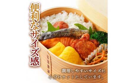 秋鮭西京漬け 各500g 合計約1kg 食べ比べ セット